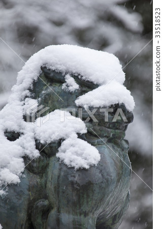 Shiba Inu和雪在大阪城堡Toyokuni寺廟 33518523