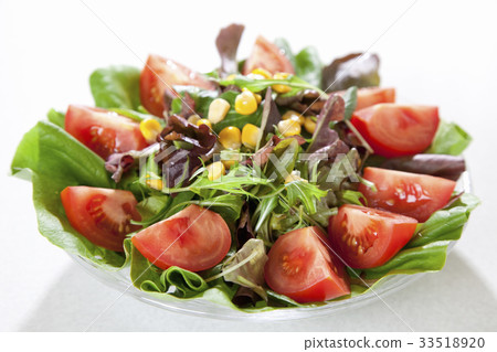 vegetable salad	 33518920