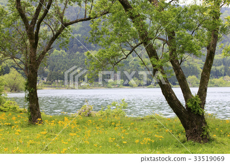 Lake Yawata Lakeside 33519069