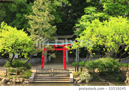 Senju Hachiman Shrine torii Senju Hachiman Shrine torii 33519245