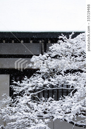 雪在樹枝上 33519466