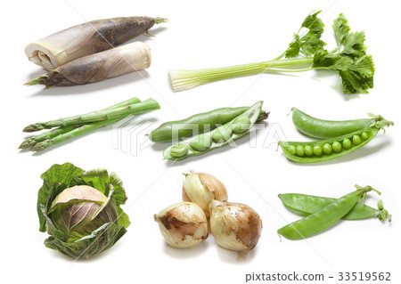 Group picture of spring vegetables Group picture of spring vegetables 33519562