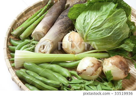 Group picture of spring vegetables 33519936