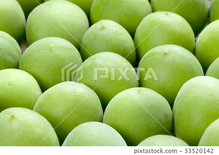 Plum fruit Plum fruit 33520142