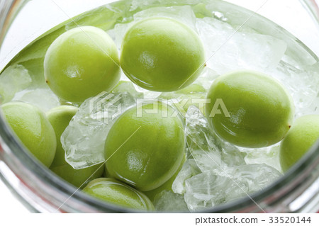 製作梅酒 33520144