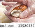 Sushi held with cooking gloves 33520389