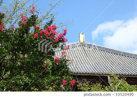 Hundred Crimson of Todai-ji Temple 33520490