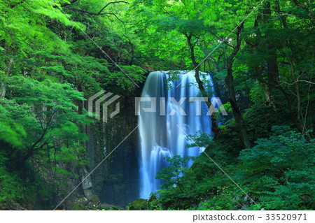 Kameda immovable waterfall in summer Kameda immovable waterfall in summer 33520971