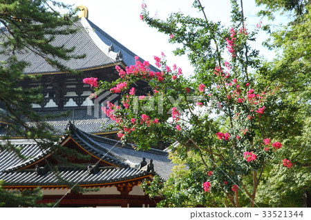 Todaiji Temple and Buddha 33521344