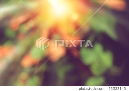 abstract blurred nature background with sunlight abstract blurred nature background with sunlight 33522143