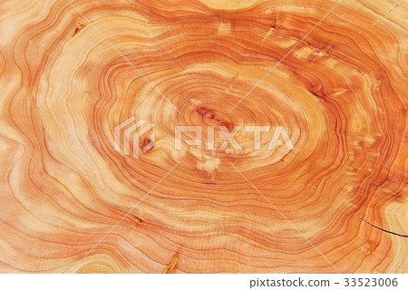 Tree, oak Tree, oak 33523006