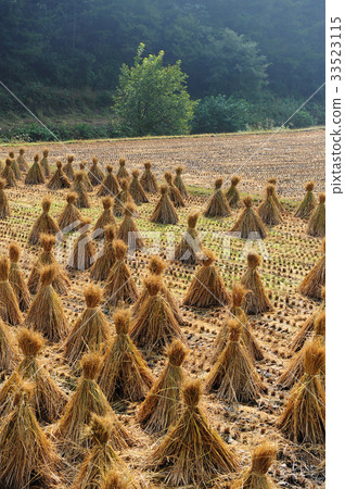 Rectangular, Korea 33523115