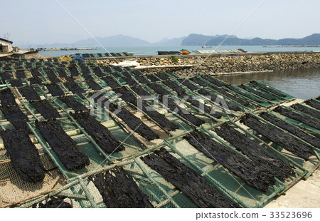 Stone marrow station, Jindo-gun, Jeonnam Stone marrow station, Jindo-gun, Jeonnam 33523696