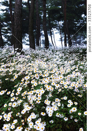 Chuncheok,Imsilguk郡,全北 Chuncheok,Imsilguk郡,全北 33523708