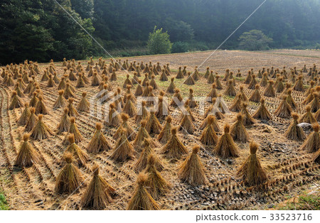 Rutan, Hwasun-gun, Jeonnam 33523716