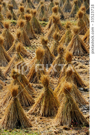 和田郡和順郡的魯坦 33523718