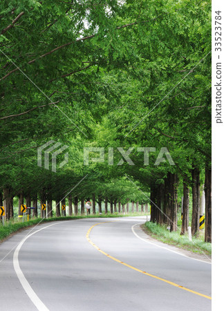 Metasequire, Damyang-gun, Jeonnam 33523784