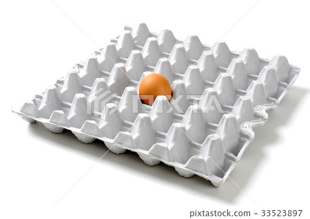 egg egg 33523897