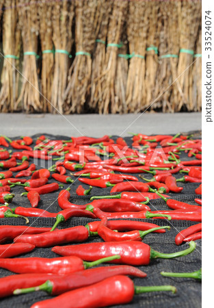 Pepper, sesame, sesame, perilla, grain, crops, crops, peas, sesame Pepper, sesame, sesame, perilla, grain, crops, crops, peas, sesame 33524074