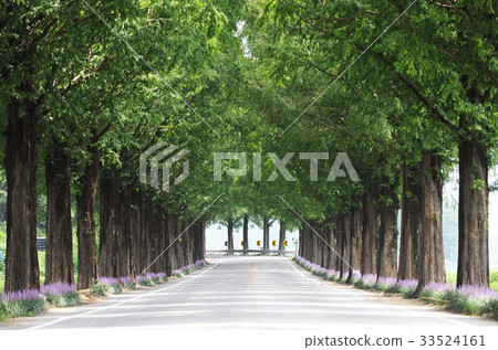 Metasequire，Sunchang-gun，Jeonbuk 33524161