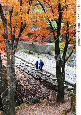 Baekyangsa Temple, Changseong County, Jeonnam Province 33524418