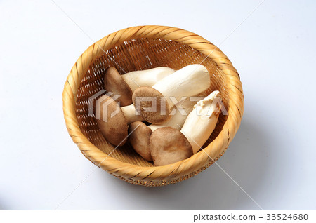 松茸蘑菇 松茸蘑菇 33524680