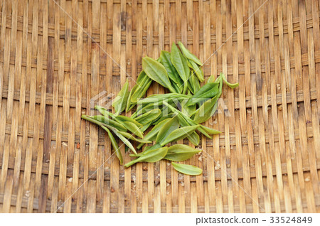 green tea 33524849