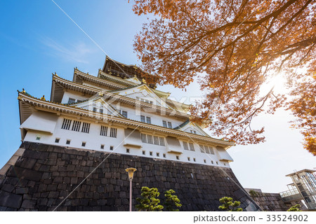 Osaka Castle with autumn colors 33524902