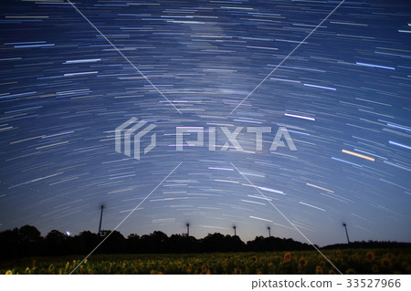 Sunflower field and starry sky Sunflower field and starry sky 33527966