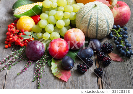 Autumn fruits and vegetables retro still life 33528358