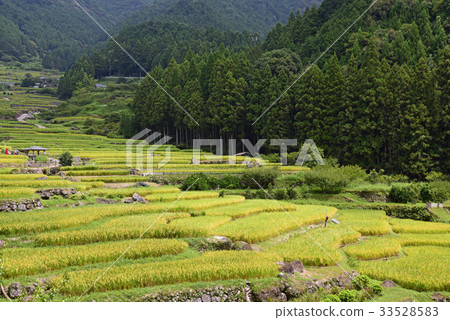 四谷千紙 33528583