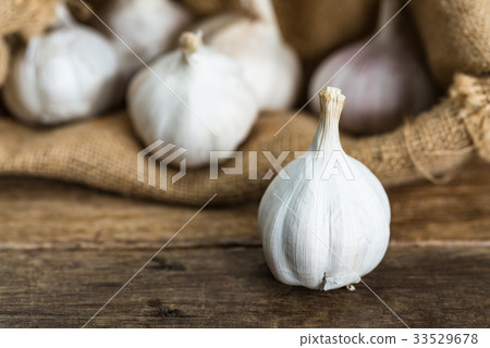 white garlic with blurred garlics background  33529678