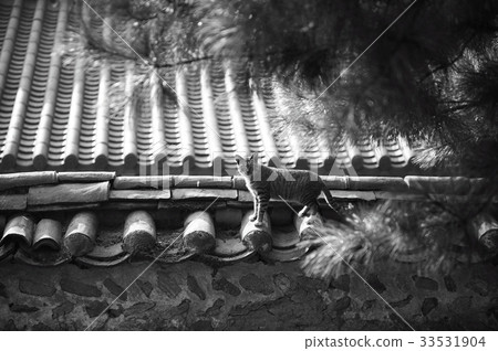 Yongju, Hwaseong, Gyeonggi-do 33531904