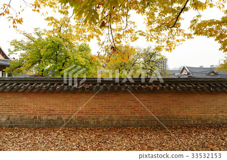Fallen leaves, Gyeongbokgung, Jongno-gu, Seoul Fallen leaves, Gyeongbokgung, Jongno-gu, Seoul 33532153