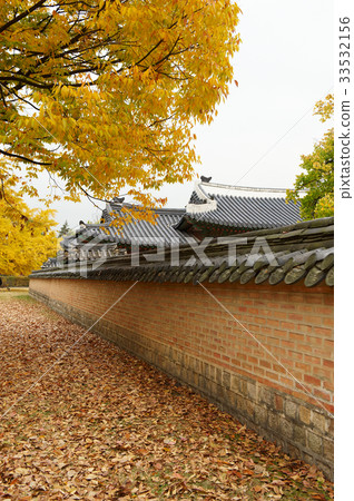 Fallen leaves, Gyeongbokgung, Jongno-gu, Seoul Fallen leaves, Gyeongbokgung, Jongno-gu, Seoul 33532156