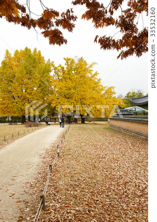 落葉，景福宮，鐘路區，首爾 33532160