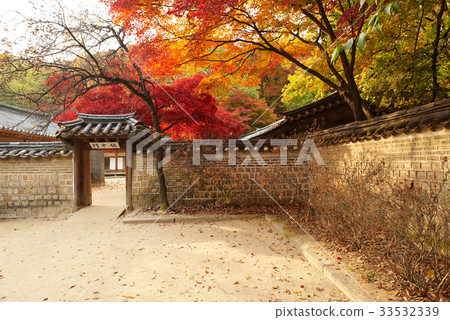 Autumn leaves, Deciduous leaves, Yeongyangdae, Changdeokgung, Jongno-gu, Seoul 33532339