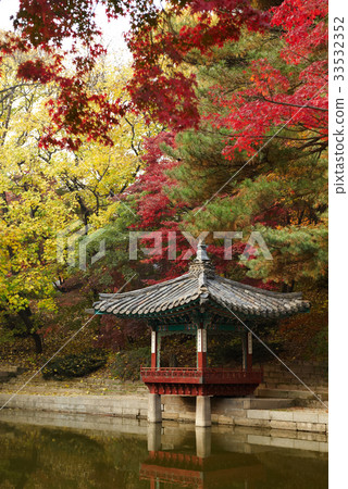 Autumn leaves, Aryejung, Changdeokgung, Jongno-gu, Seoul Autumn leaves, Aryejung, Changdeokgung, Jongno-gu, Seoul 33532352