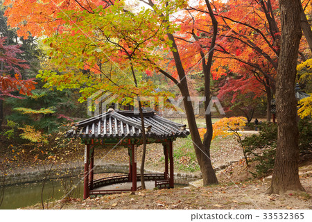 Maple, Visible, Changdeokgung, Jongno-gu, Seoul 33532365