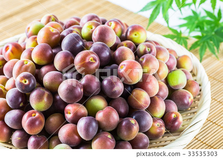 Koume小粒白梅 Koume小粒白梅 33535303