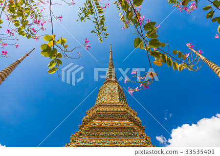 Bangkok, Wat Pho, flowering Buddha Buddha temple 33535401