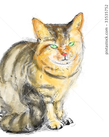 Cat Illustration Cat Illustration 33535752