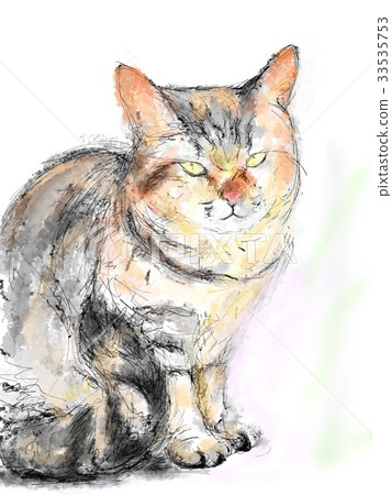 貓圖 33535753