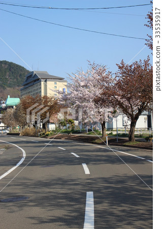 導致Hanamaki Onsen的櫻花樹行 導致Hanamaki Onsen的櫻花樹行 33535917