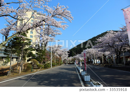 春天花卷溫泉 33535918