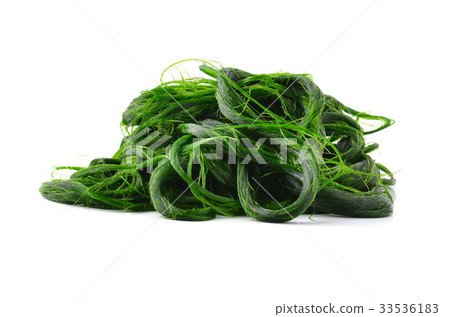 Fresh - water algae ready is used to make food. 33536183