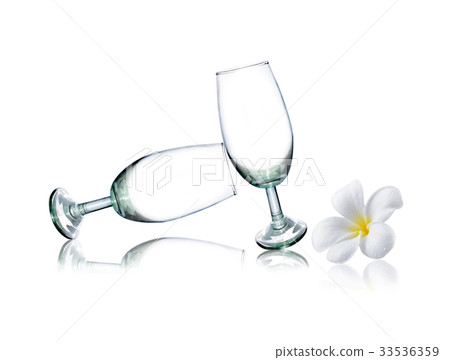colorful plumeria flower and glass colorful plumeria flower and glass 33536359