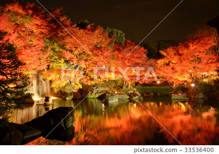 [Hyogo Prefecture] Himeji City/Kokoen autumn leaves 33536400