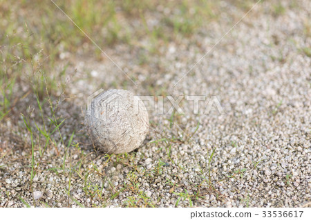 Old baseball ball Old baseball ball 33536617