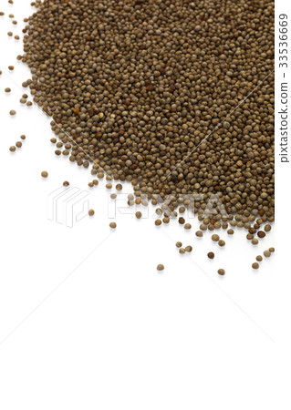 Fruit of Egoma 33536669